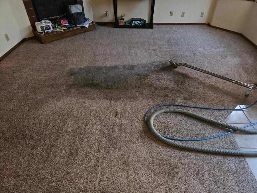 The difference in a carpet as it is being cleaned