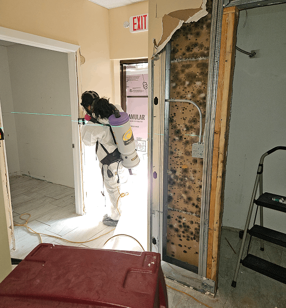 Technician performing mold remediation inside a damaged interior room