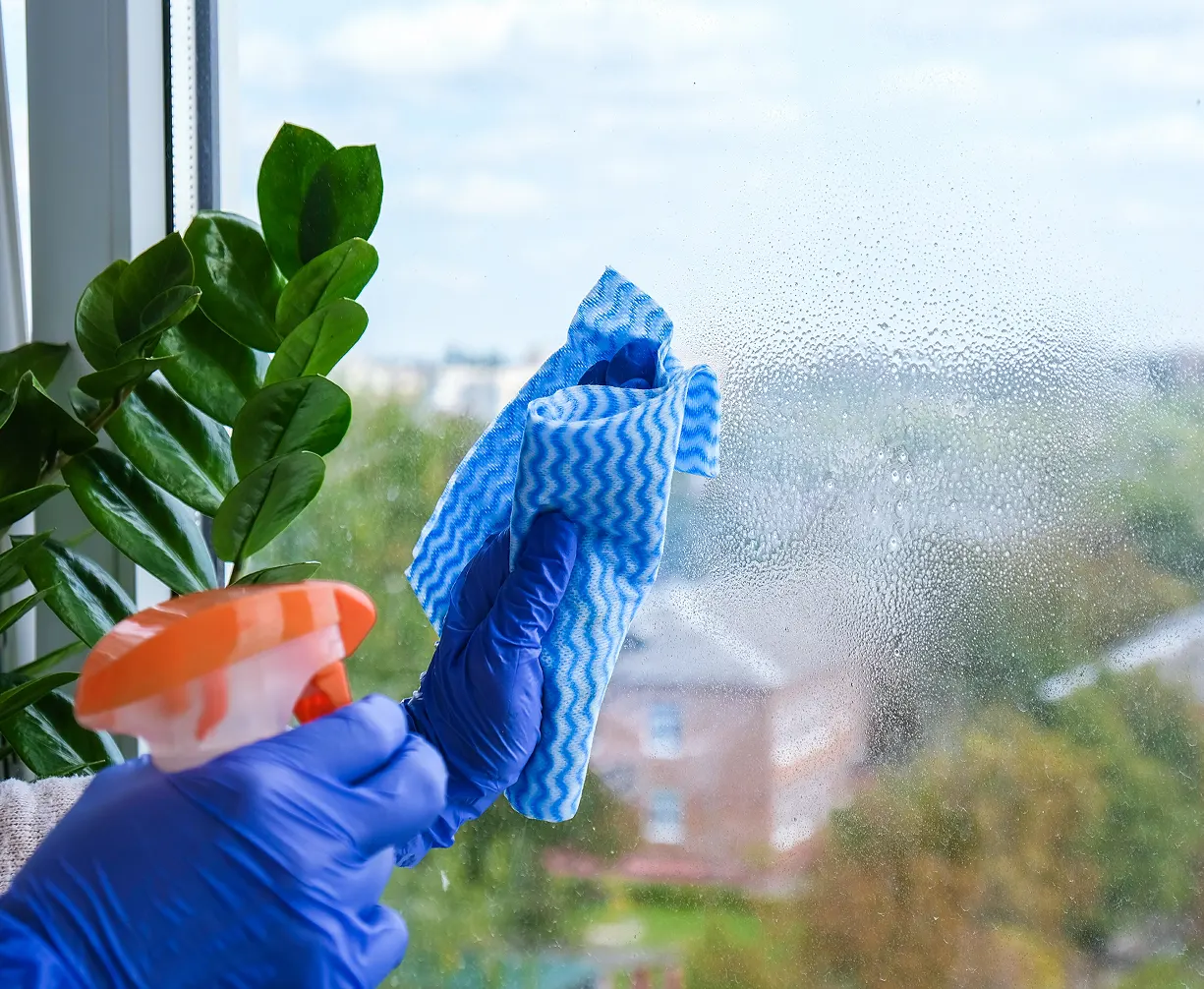 Woman in blue gloves cleaning a window using spray